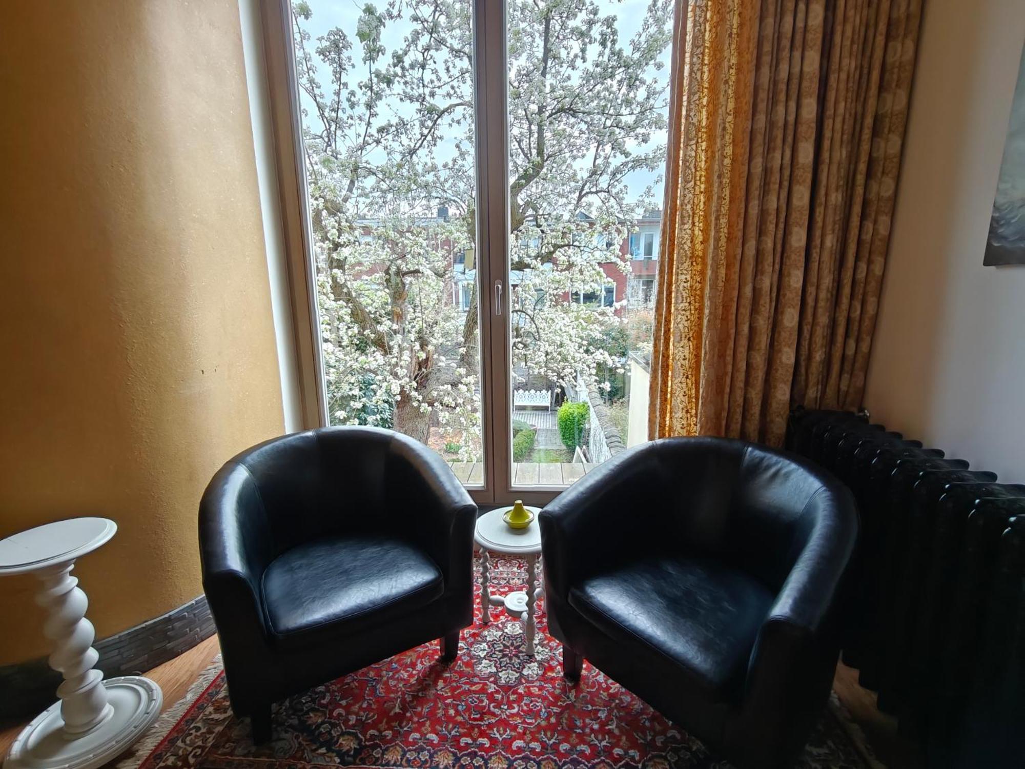 King Room Garden View